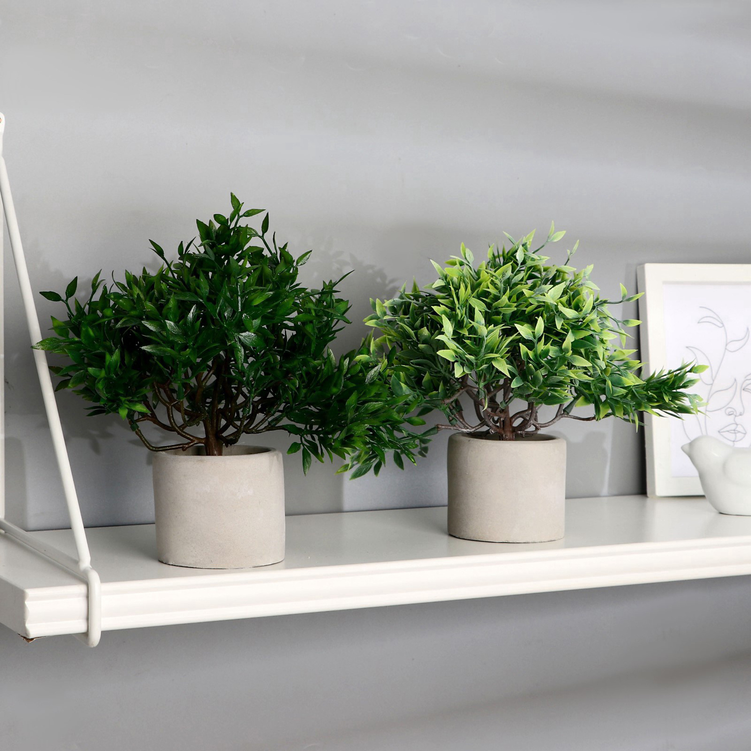 Бонсай в горшке "Фрутикоса пышная" 14х20 см, микс   9222724