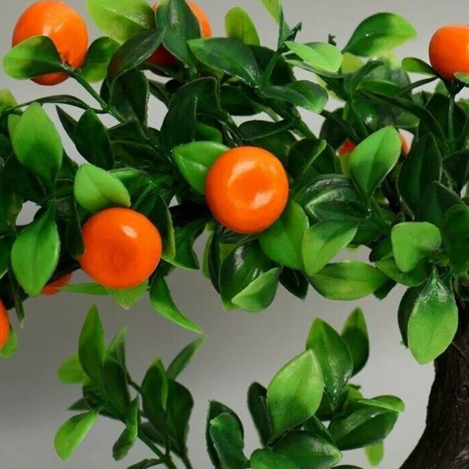 Бонсай в горшке "Деревце мандарин" 10х18 см 4142806