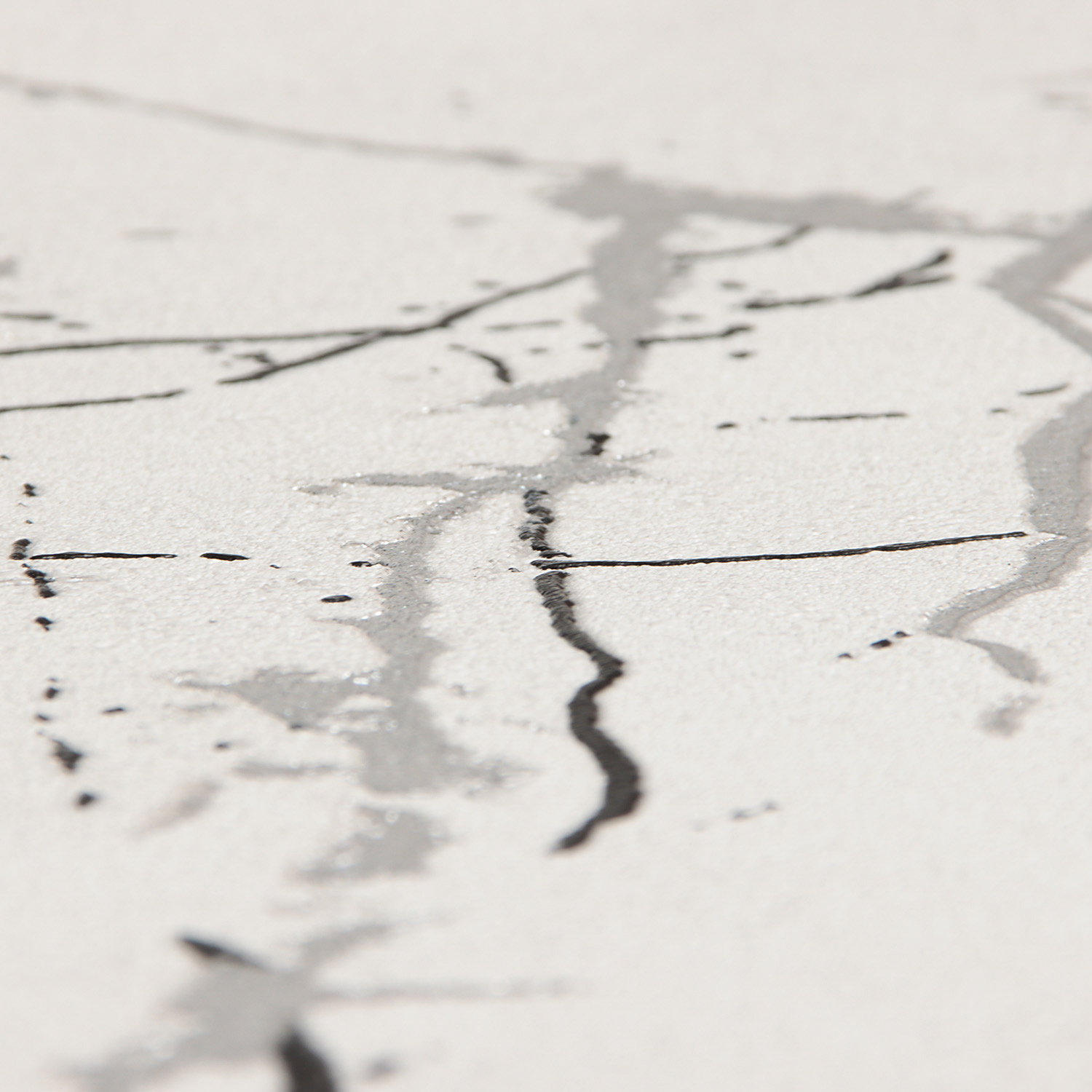 Обои  флиз Ateliero Rinaldi 285631 1.06*10м *6