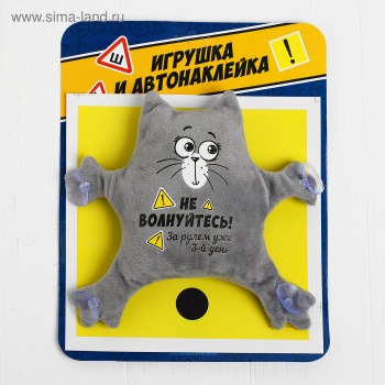 Набора автомобилиста "3-ий день за рулем!" 3471044