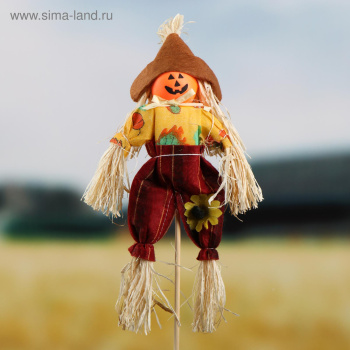 Огородное пугало Тыква, 25/50 см, МИКС   5185571