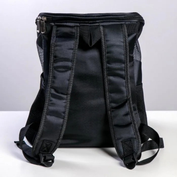 Рюкзак для переноски животных "В любом месте - веселее вместе" 31*23*30 см 4983426