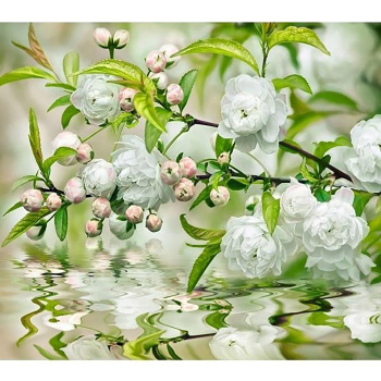 Фотообои  VIP  А 064 ДЫХАНИЕ ВЕСНЫ 294*260 12л (г.Тула)  *16