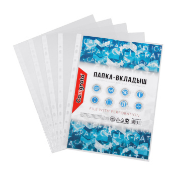 Файл-вкладыш А4, Calligrata, глянцевый, вертикальный, 100 штук, эконом