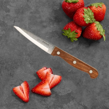 Нож кухонный ATTRIBUTE дер.руч. Country д/фруктов дл.лезв.9см AKC204 блистер *1/6/72