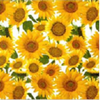 Клеёнка на тканевой основе "Этюд" "Подсолнухи" на белом шир.1,25м 927/5 "Колорит" *25