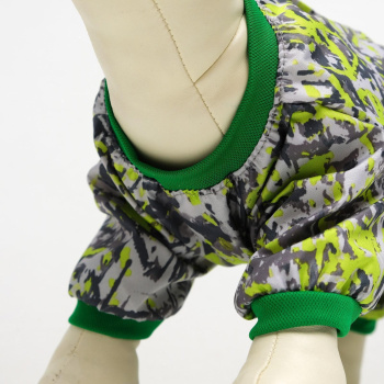 омбинезон для собак цветной, мальчик, XS ( дс 18-20 см, ош 24 см, ог 27-30 см) 2717635