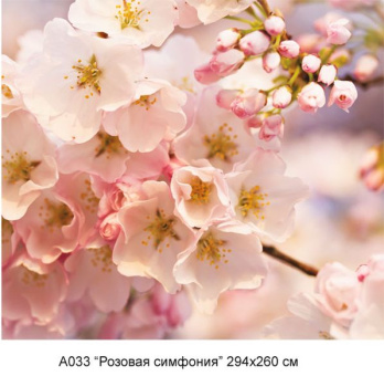 яяяФотообои  VIP  А 033 "РОЗОВАЯ СИМФОНИЯ" 294*260 см  (12л) (г.Тула)  *1/6