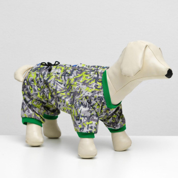 омбинезон для собак цветной, мальчик, XS ( дс 18-20 см, ош 24 см, ог 27-30 см) 2717635