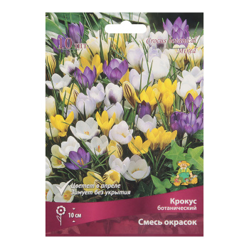 Крокус Ботанический смесь сортов 5+/10шт